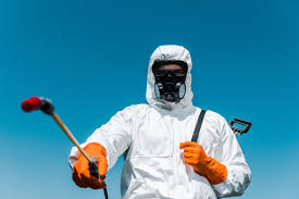 Best Bed Bug Extermination  in De Soto, MO